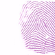 Illustration for article titled This Shade Of Purple Can Ruin Your Life